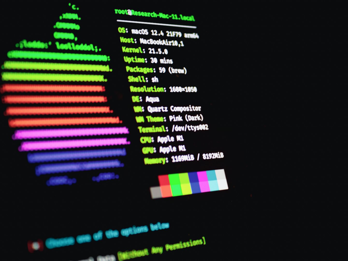 Computer screen showing system information and a colorful apple logo.